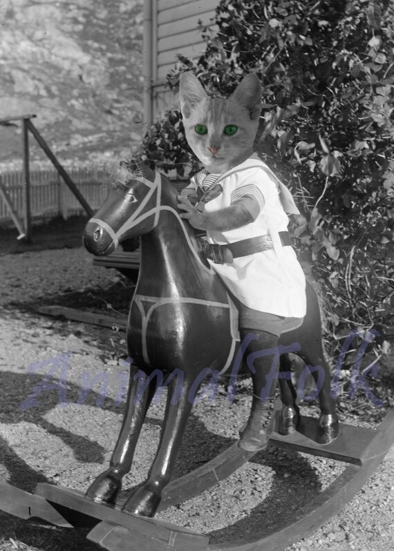 cat rocking horse