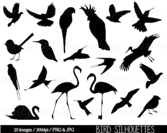 Clipart Birds, Clipart Bird Silhouettes, Bird Clip Art, animal clipart, stork, dove, flamingo - Commercial & Personal - BUY 2 GET 1 FREE!
