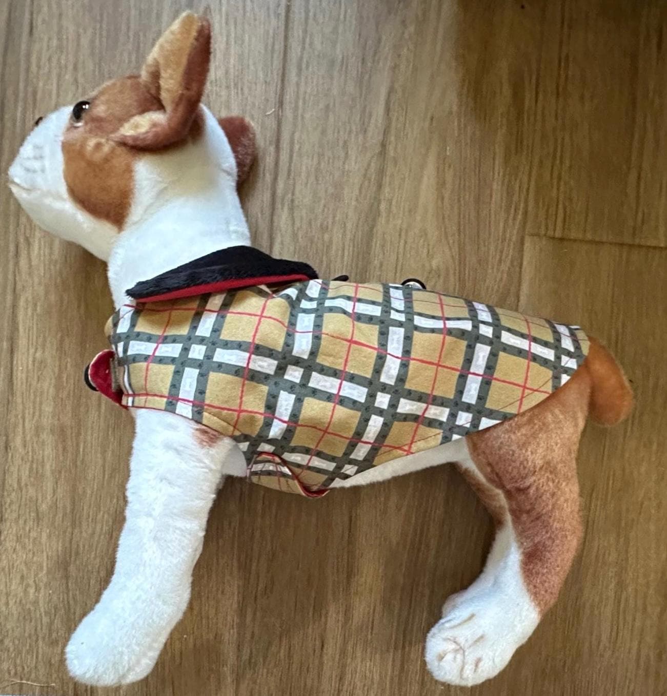 Burberry dog Österreich
