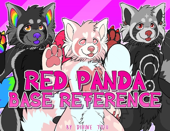 Red Panda Base Reference Sheet Male/female - Anthro Furry Art