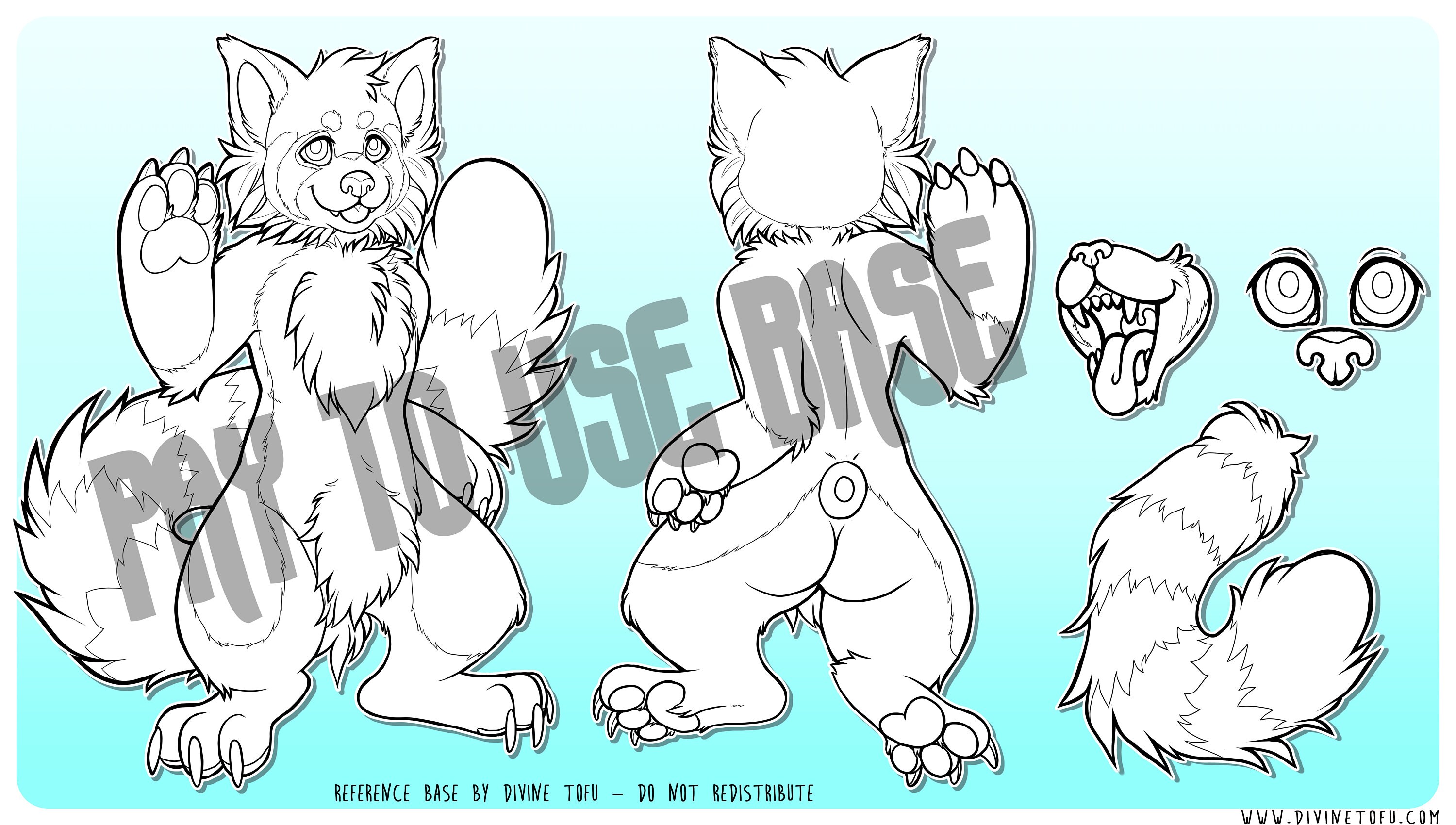 Red Panda Base Reference Sheet Male/female - Anthro Furry Art