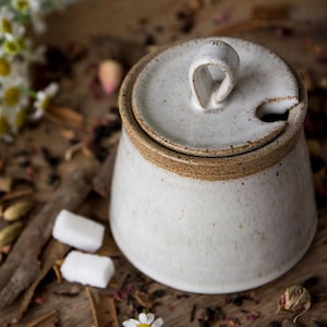 Może przedstawiać: Ceramiczna cukiernica w kolorze złamanej bieli z pokrywką i uchwytem w kształcie pętli. Miska ma brązową obwódkę i stoi na drewnianej powierzchni z kwiatami rumianku, przyprawami i kostkami cukru. Rustykalna, naturalna estetyka.