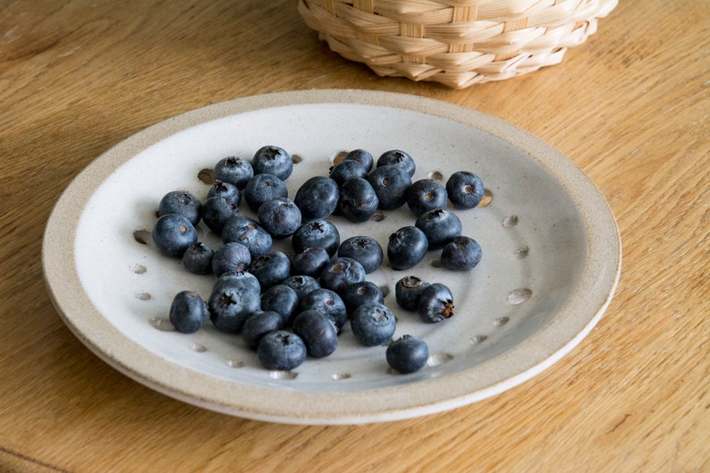 Rustic Dinnerware, Wedding Gift, Pottery Perforated Ceramic Plate, Berry Bowl, 9th Anniversary Gift image 1