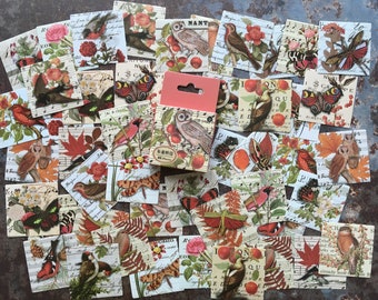 46pcs 'Birds & butterflies RED' sticker box for seasonal nature and plant themed journaling, autumn vibes planner decorating