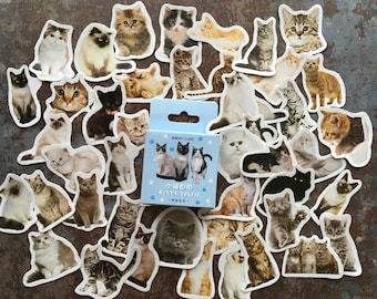 Cats sticker box for animal and pet themed journaling, scrapbooking, gift idea for cat lover