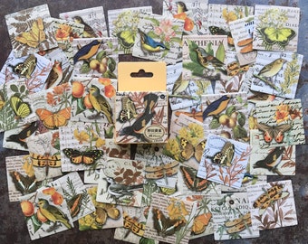 46pcs 'Birds & butterflies YELLOW' sticker box for seasonal nature and plant themed journaling, autumn vibes planner decorating