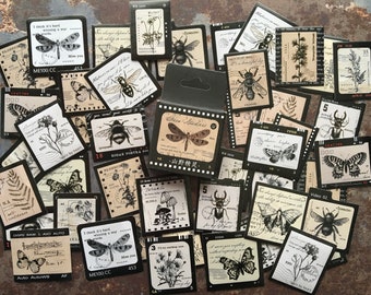 46pcs bee and other insects sticker box in black, beige and white with retro theme