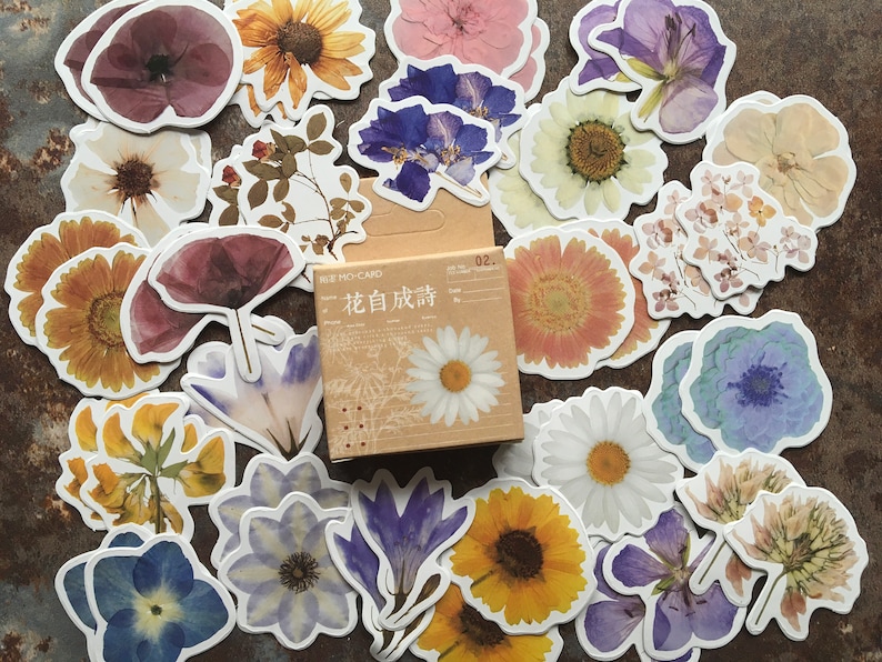 Flores secas pegatinas para decorar su diario de balas ...