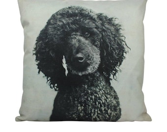 Gifts for Poodle Mom or Dad My Heart Belongs Cute Owner Lover Poodles Throw Pillow 16x16 Multicolor Gifts for Poodle Mom or Dad My Heart Belongs Cute Owner Lover Poodles Throw Pillow 16x16 Multicolor