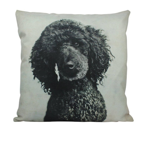 Black Poodle Throw Pillow Dogs Home Throw Pillow Cover Dog Portrait of The