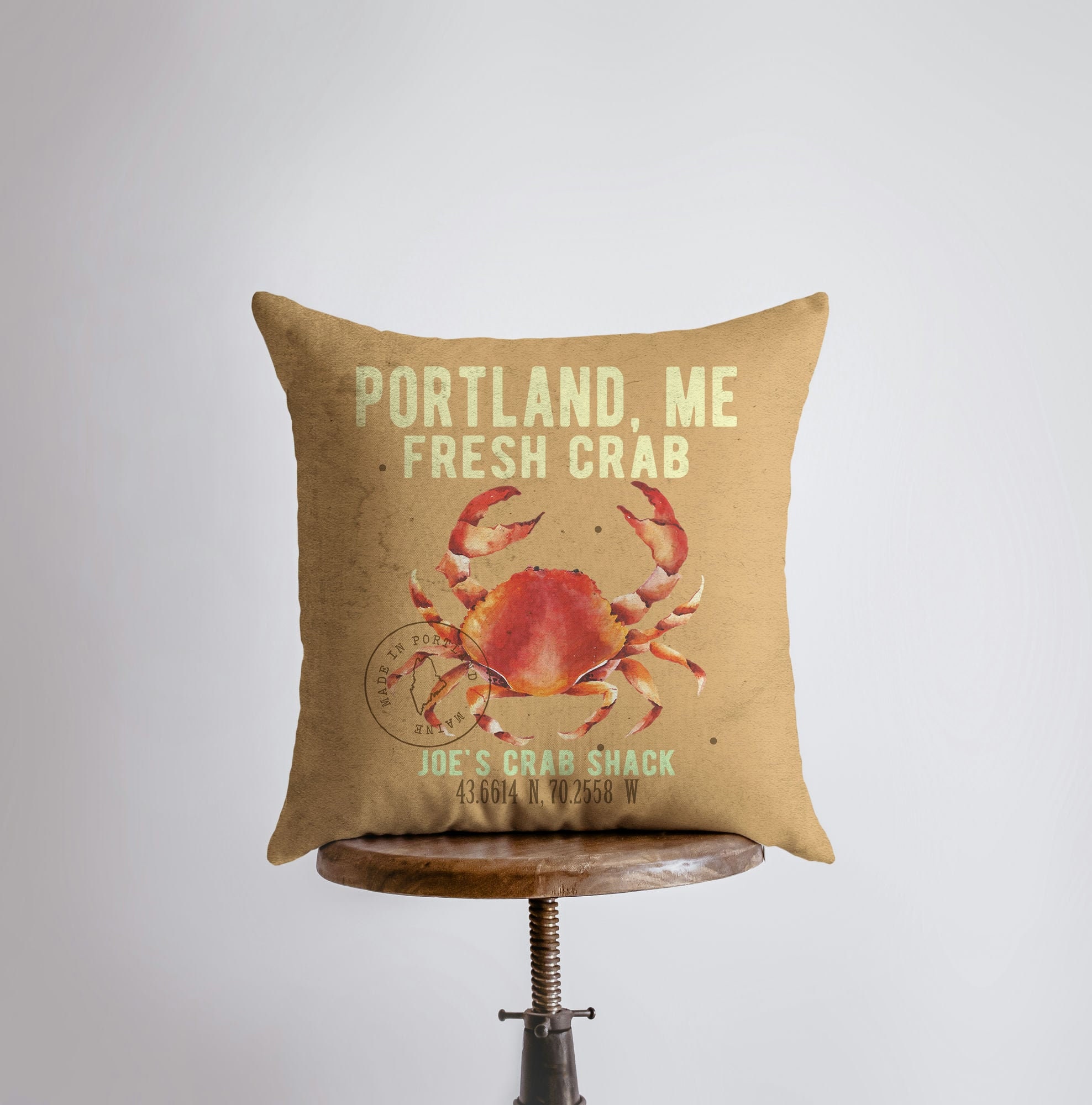 Cotton / Polyester Blend Indoor/Outdoor Throw Pillow Northwest