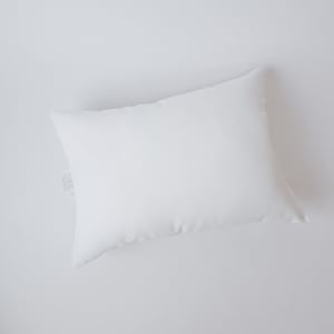 May include: A white pillow with a smooth, soft surface. The pillow is rectangular and has a slight curve to it.