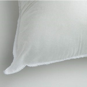 10x16 or 16x10 Indoor Outdoor Hypoallergenic Polyester Pillow Insert Quality Insert Pillow Insert Throw Pillow Inserts Pillow Form imagem 4
