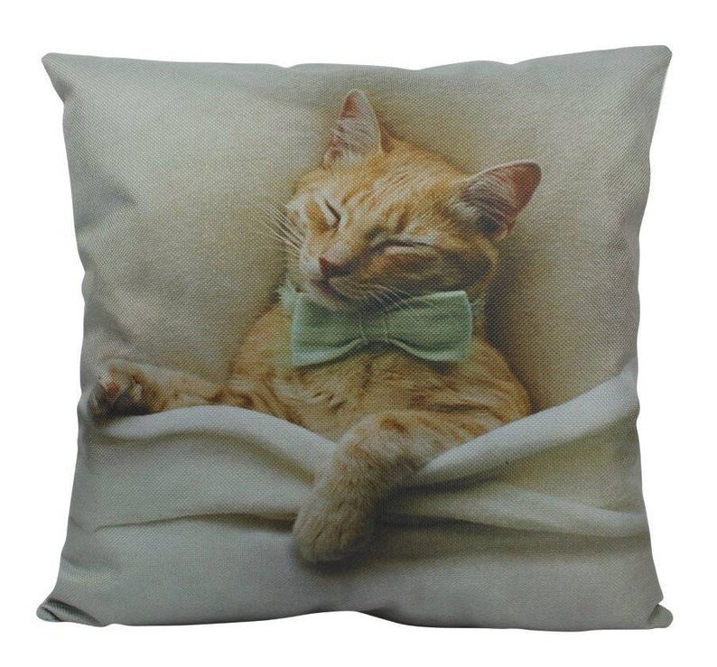Sleeping Cat Pillow Cover Cat Lover Gifts Throw Pillow Etsy
