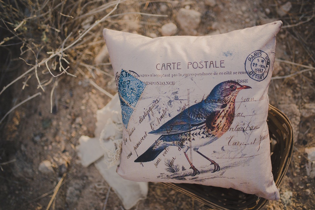 Blue Bird Pillow Cover Bird Nest Pillow Farmhouse Decor