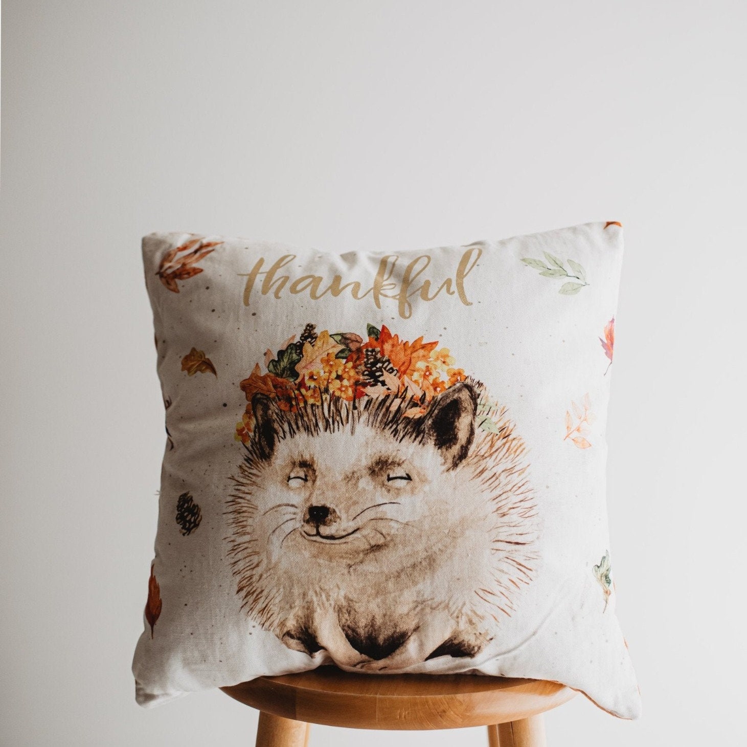 hedgehog throw pillows