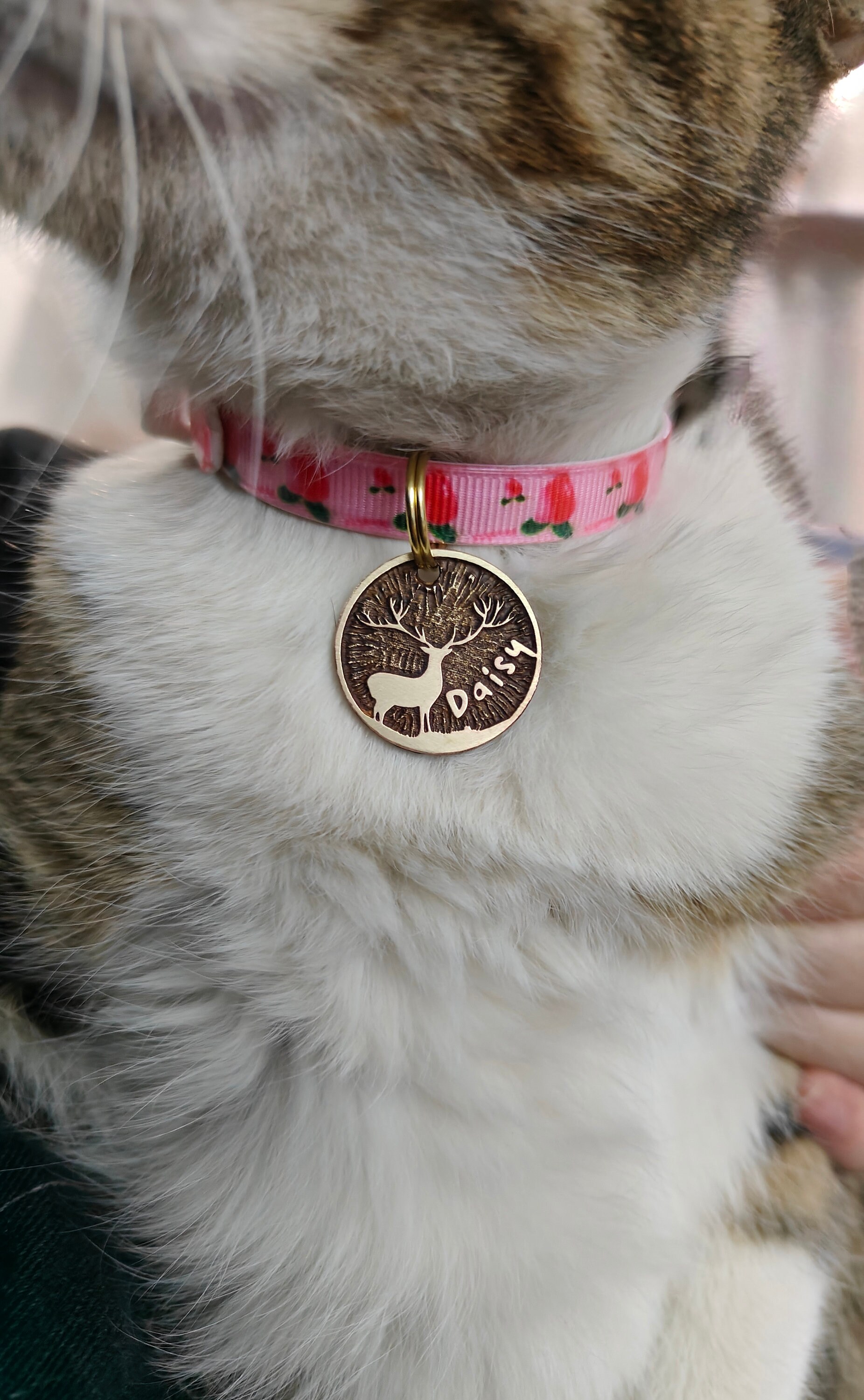 Personalised Cat Tag, Medical Rescue Tag, Pet Tag Puppy Name ID Bone Round Tag Collar Dog ID Tag