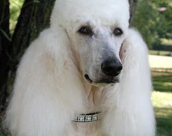 ホワイト:OHGA POODLE KNIT
