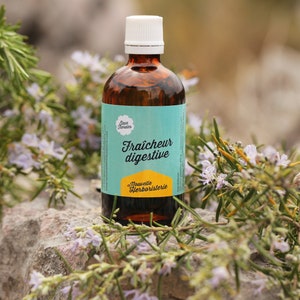 Organic Digestive Water - Digestive Freshness Treatment