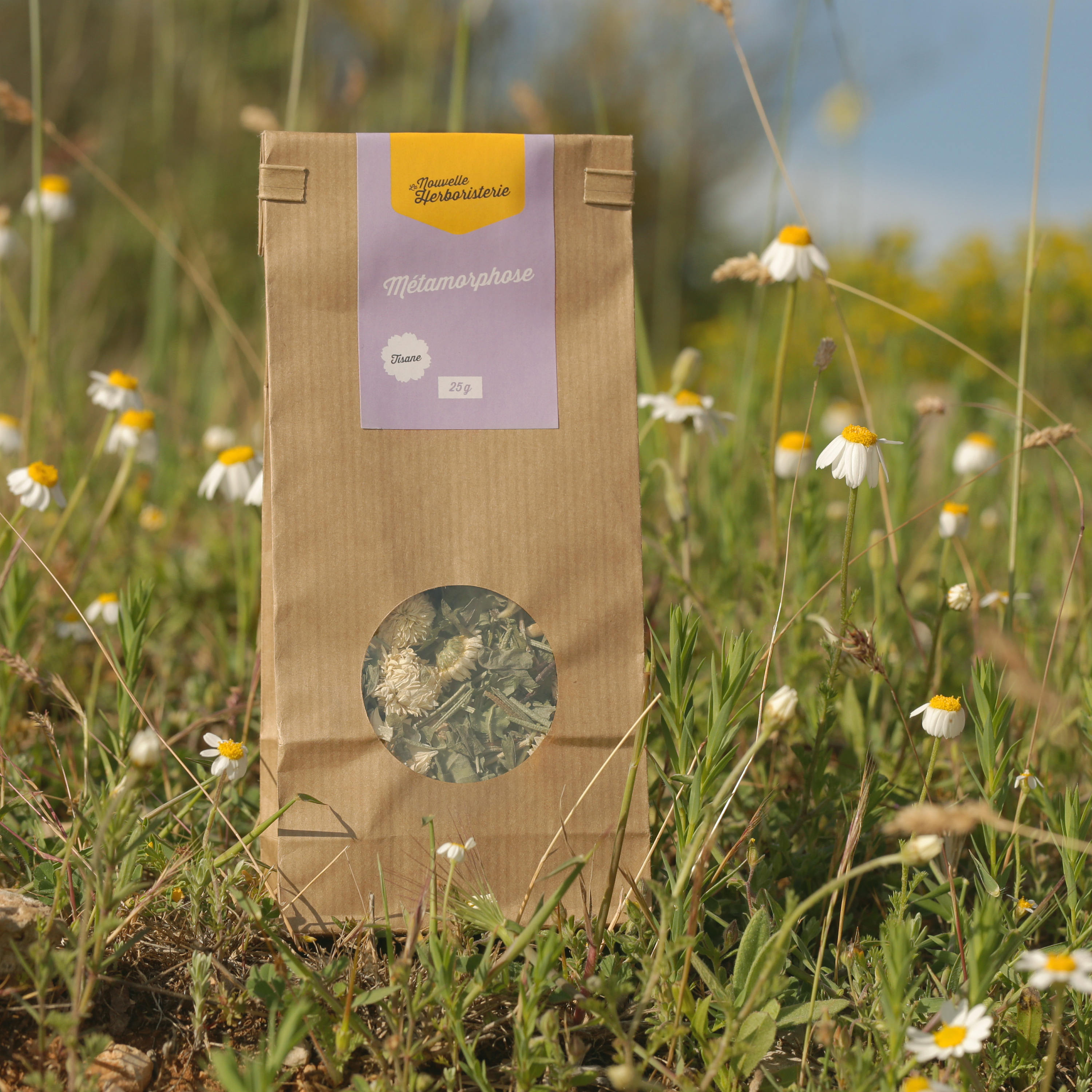 Infusion Détox Douce Bio - Tisane Métamorphose