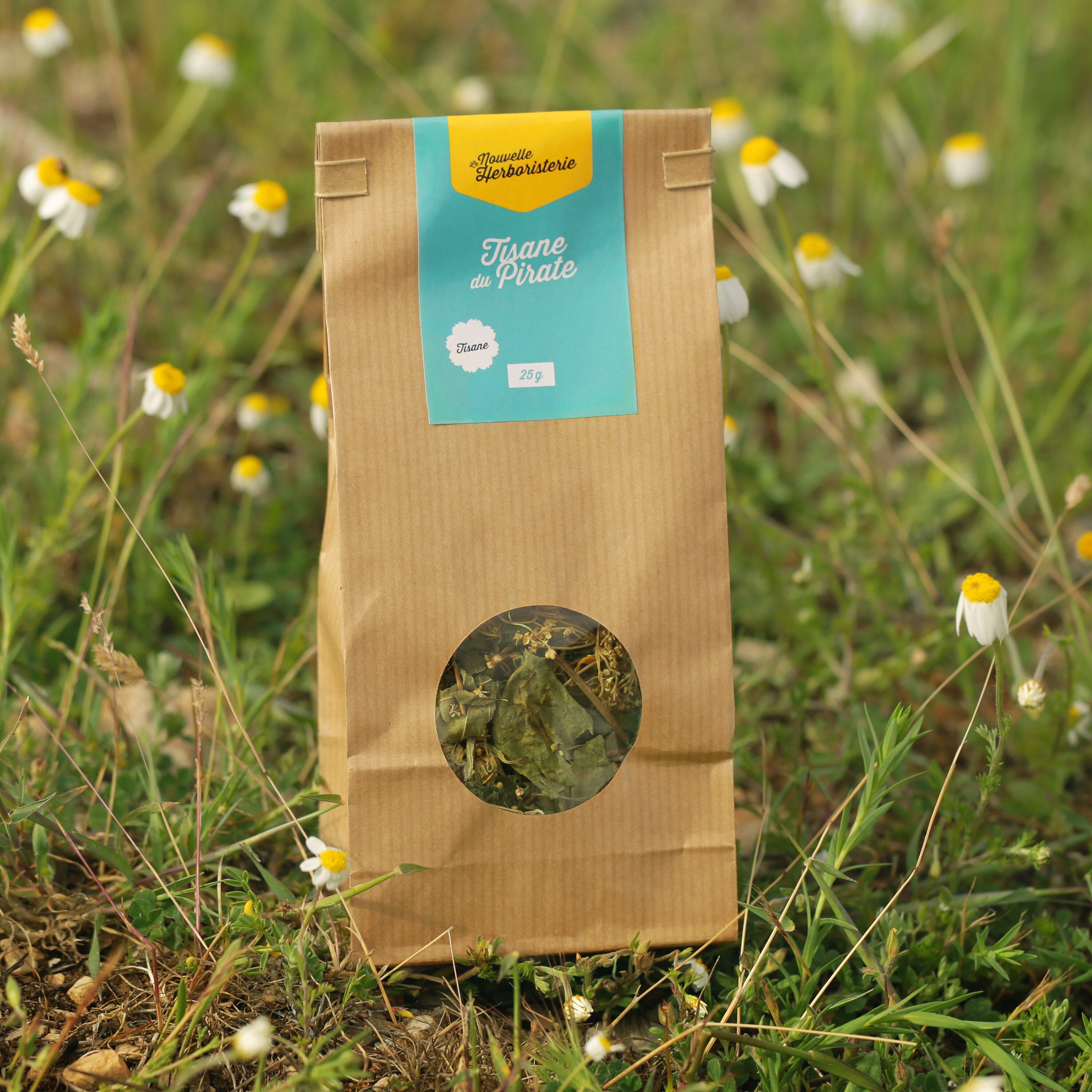 Infusion de Plantes Anti-Inflammatoires Bio - Tisane Du Pirate