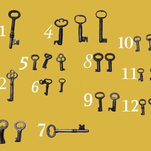 Skeleton Keys - Groupings of Real Authentic Antique Skeleton keys
