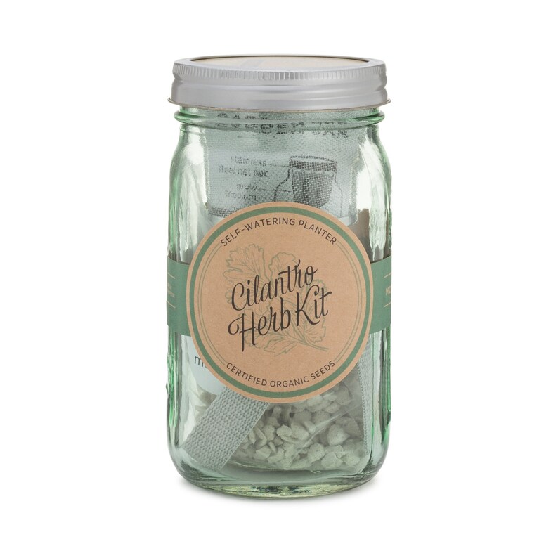 Garden Jar Self Watering Herb Kit Cilantro Seaglass Image 0