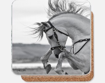 White Andalusian Stallion Rearing; western art on a drink coaster