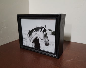 Horse Lover Night Light Box-Stallion Breeze