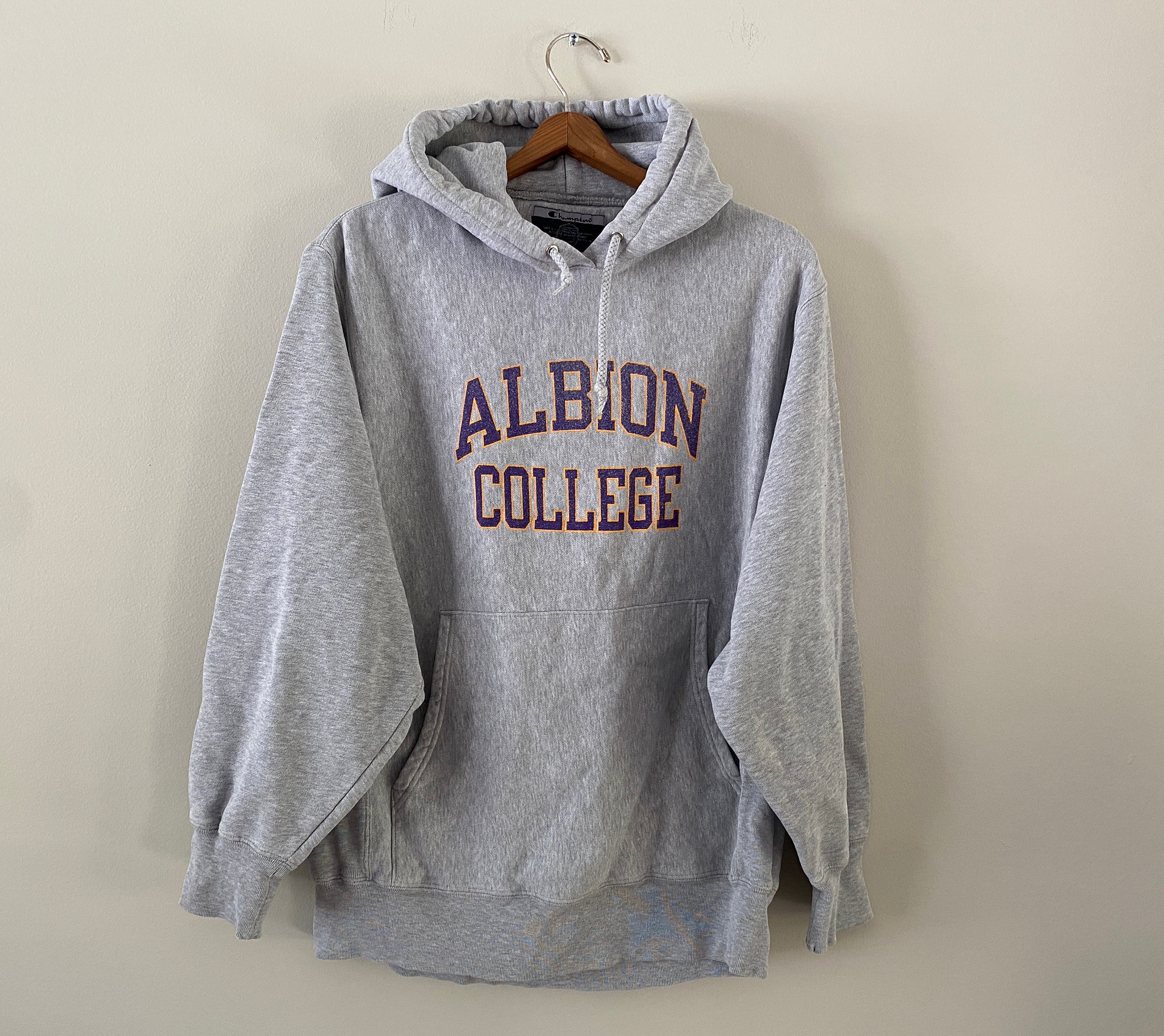 Vintage 90s Albion College Hooded Champion Sweatshirt Hoodie - Etsy Denmark