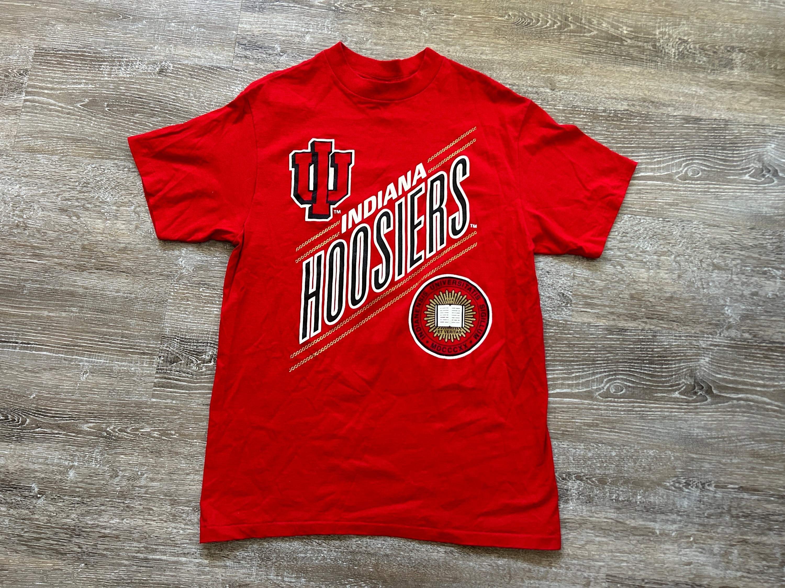 ヴィンテージ 1993 Nutmeg Chicago tシャツ Tシャツ レア（90s