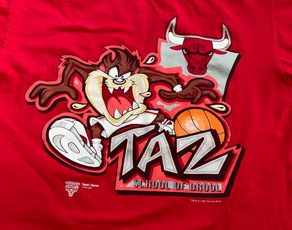VTG 90s Chicago Bulls T Shirt Taz Devil Looney Tunes 1997 School 