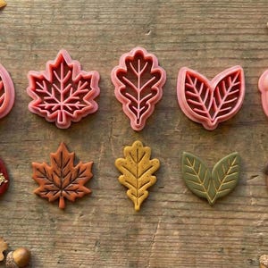 May include: A collection of leaf and acorn-shaped cookie cutters in pink, and leaf-shaped cookies in various colors, including brown, orange, and green. The arrangement is set on a wooden surface, with real leaves and acorns scattered around.