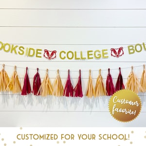 Custom Collegiate Tissue Tassel Garland- 2 Custom Matched Colors for your School, College Bound, Graduation, High School Grad