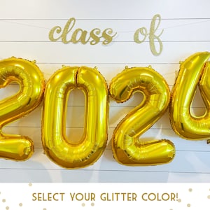 Class of 2024 Balloon Banner- Customize your color, High School or College Graduation, Grad Party
