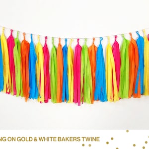 Bright Multi Colored Tissue Tassel Garland- Rainbow, Tutti Fruitti, Fiesta, Cinco de Mayo, Summer, Pink, Blue, Orange, Yellow, Green,