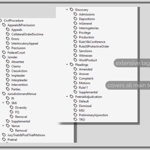 May include: Diagram of legal topics, including Civil Procedure, Discovery, and Pretrial Adjudication. The image shows a hierarchical list with extensive tagging and covers all main topics.