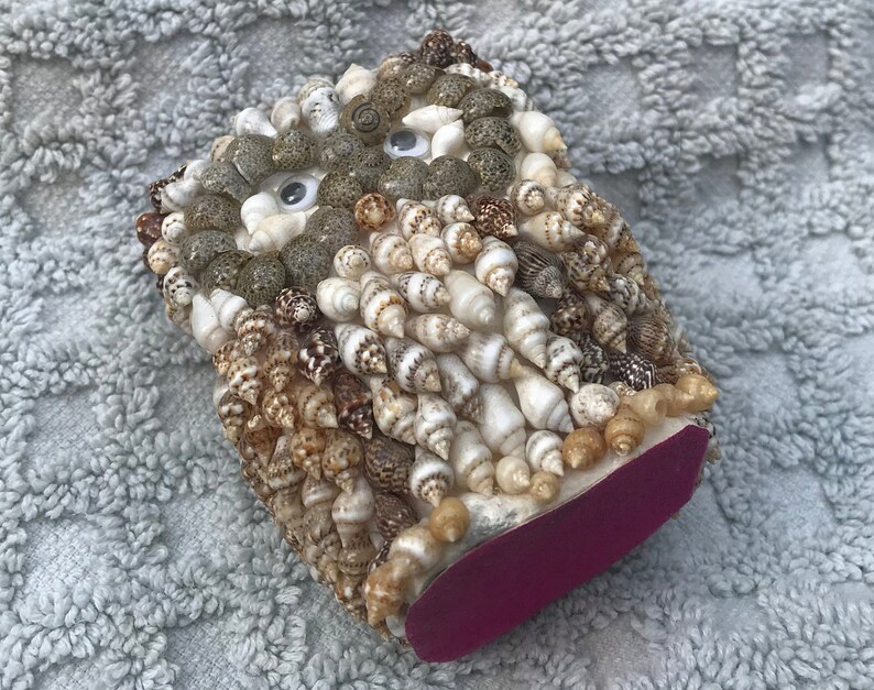 Seashell Owl