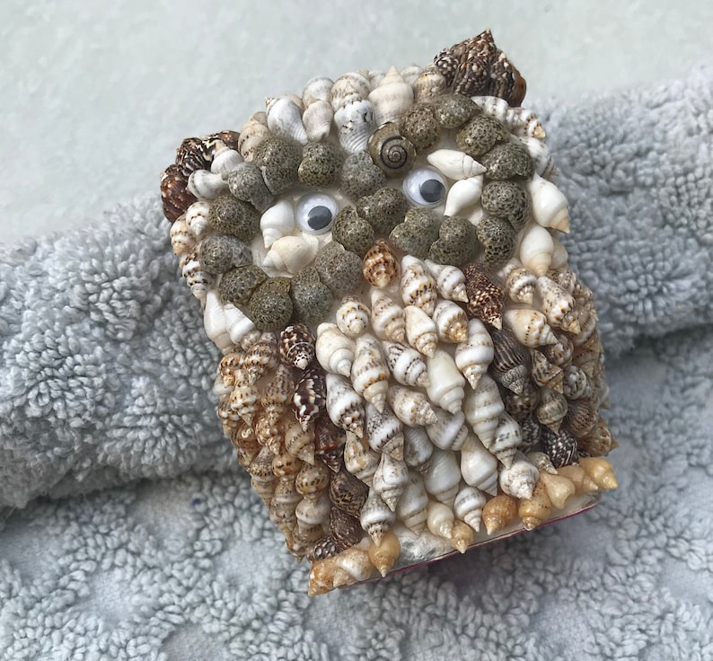 Seashell Owl
