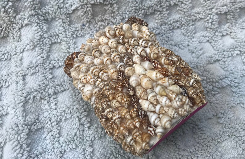 Seashell Owl