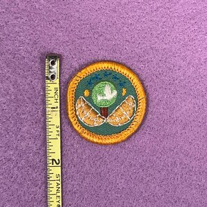 Parche vintage para banda de Girl Scout / Estilo insignia de los años 80 Tree Sprouting