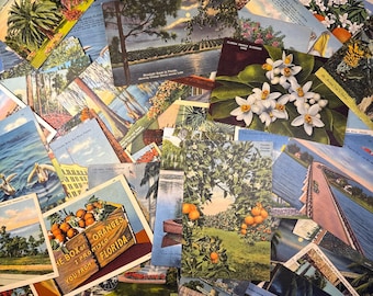 10 postales vintage de lino de Florida usadas / Recuerdos de vacaciones de mediados de siglo - Artesanía
