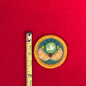 May include: A green and yellow Boy Scout merit badge with a tree and two orange slices. The badge has the text "Conservation" in a white circle.