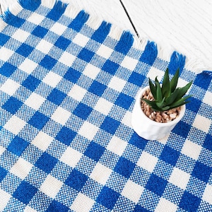 May include: A blue and white gingham tablecloth with a fringed edge. A small white ceramic pot with a succulent plant is placed on the cloth. The pattern is a classic check design.