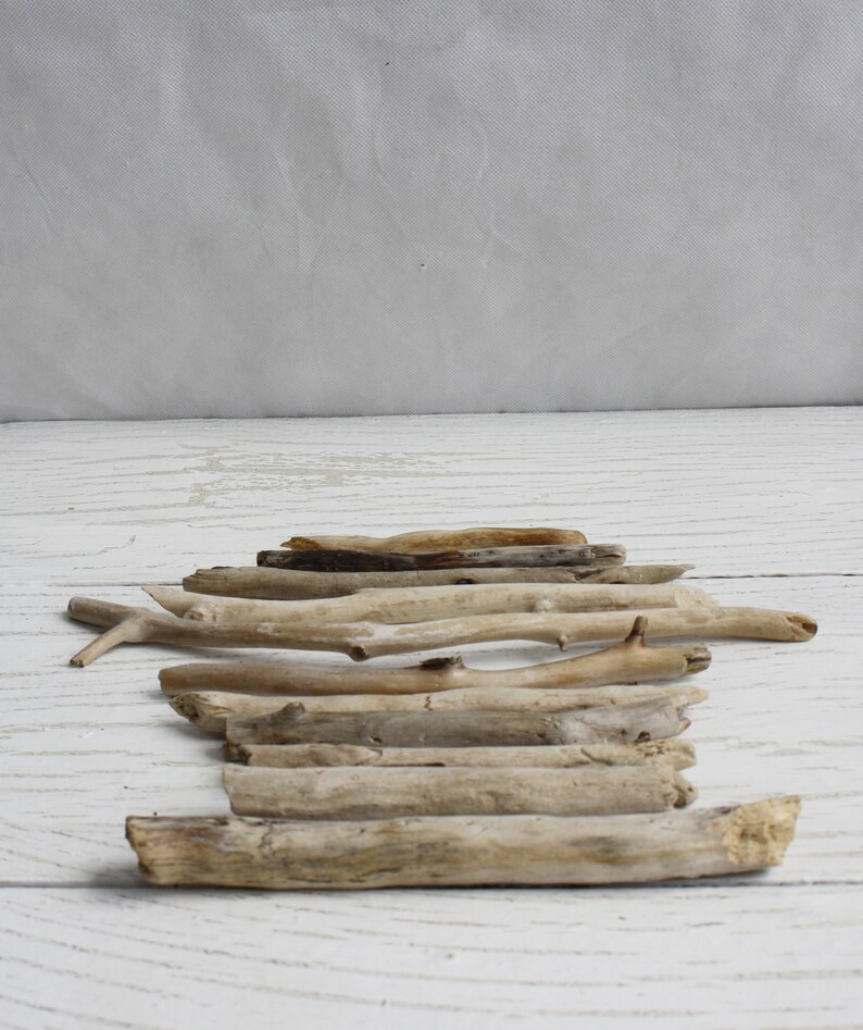 Beach Driftwoods for craft Sea wood 11 pieces Natural wood finds wave tumbled sun bleached