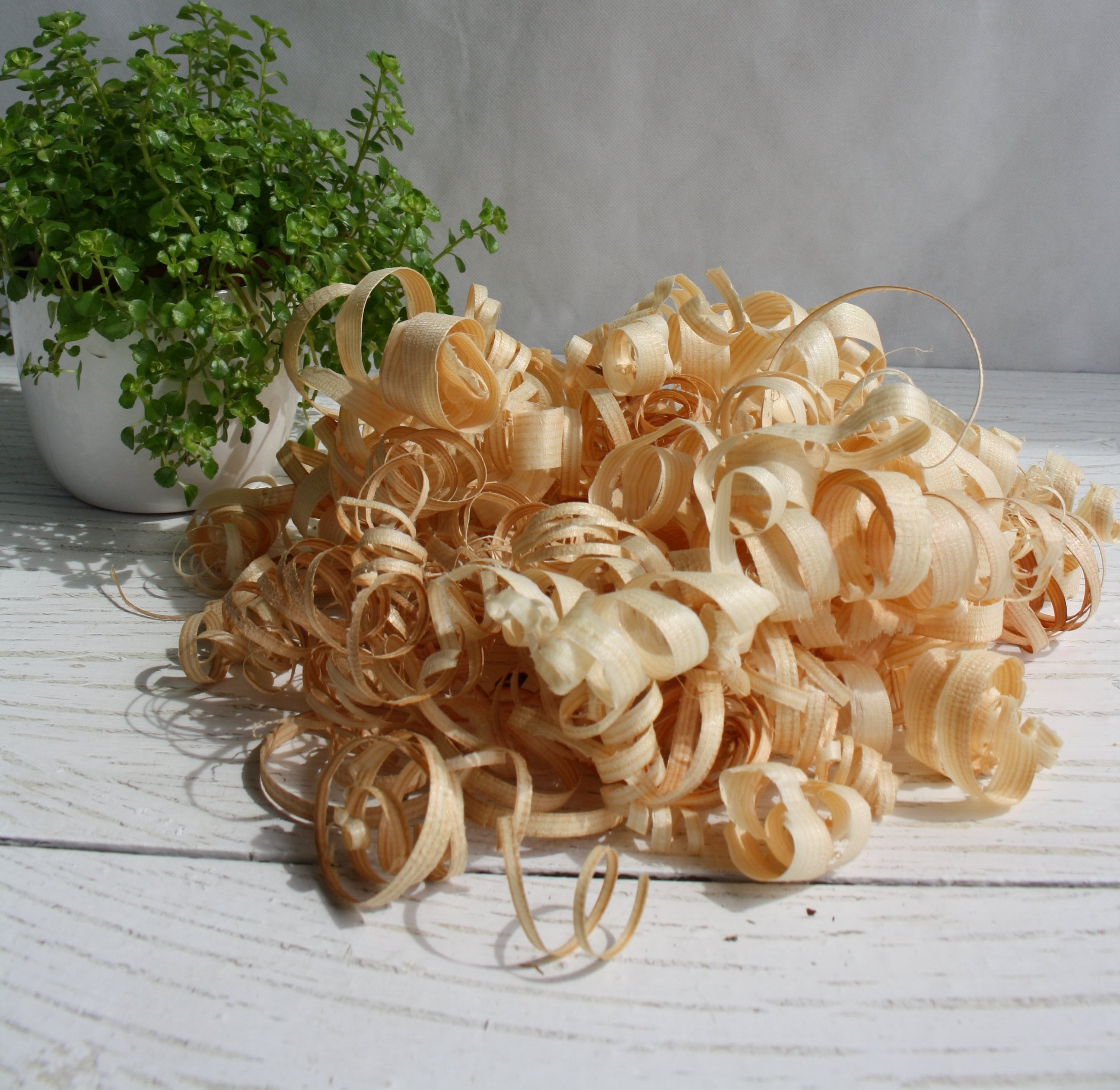 Wood shavings Wooden curls Rustic home decor DIY art crafts | Etsy