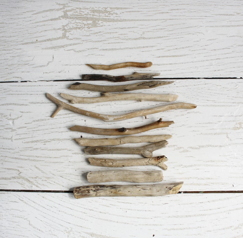Beach Driftwoods for craft Sea wood 11 pieces Natural wood finds wave tumbled sun bleached