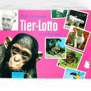 60er Jahre Vintage Tier Bilder Lotto Lernspiel Zoo Safari Brettspiel für Kinder und die Familie