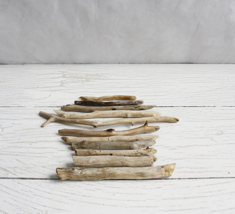 Beach Driftwoods for craft Sea wood 11 pieces Natural wood finds wave tumbled sun bleached