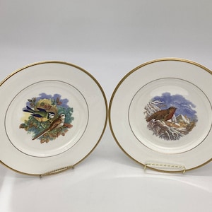 Collectable Bird Plate Wall Cabinet Bird Plate Decoration Cabin Housewarming Bird Lover Collectable Plate Bird Lover Gift (D5-11)